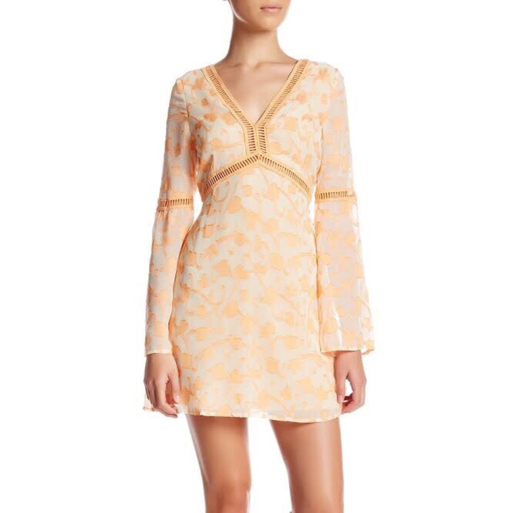 NWT re:named Great Vine Bell Sleeve Dress